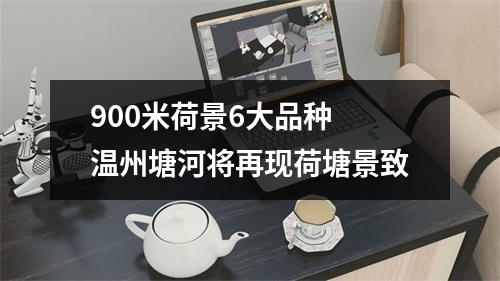 900米荷景6大品种 温州塘河将再现荷塘景致