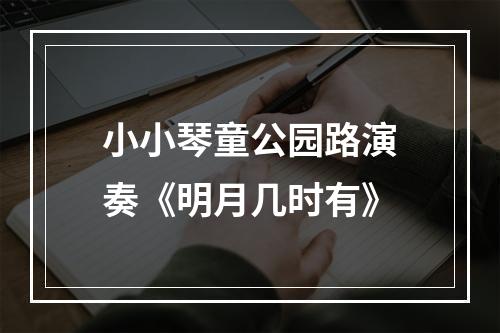 小小琴童公园路演奏《明月几时有》