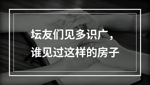 坛友们见多识广，谁见过这样的房子