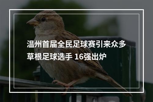 温州首届全民足球赛引来众多草根足球选手 16强出炉