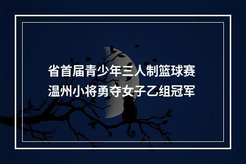 省首届青少年三人制篮球赛 温州小将勇夺女子乙组冠军