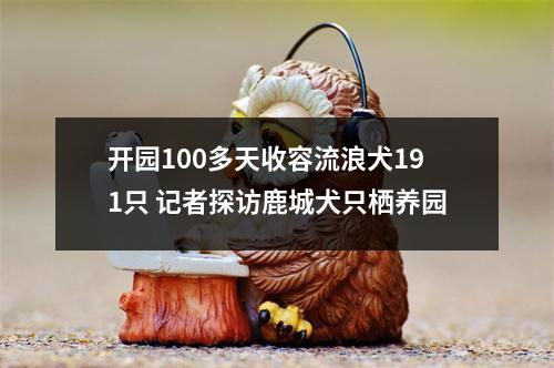 开园100多天收容流浪犬191只 记者探访鹿城犬只栖养园
