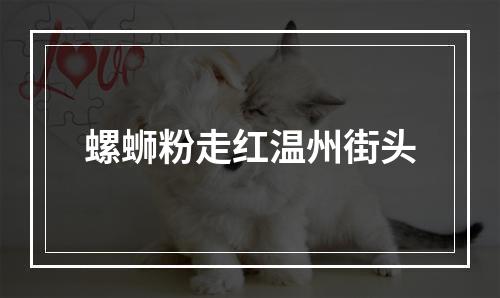 螺蛳粉走红温州街头