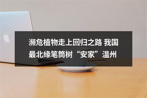 濒危植物走上回归之路 我国最北缘笔筒树“安家”温州