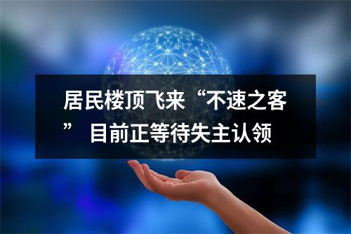 居民楼顶飞来“不速之客” 目前正等待失主认领