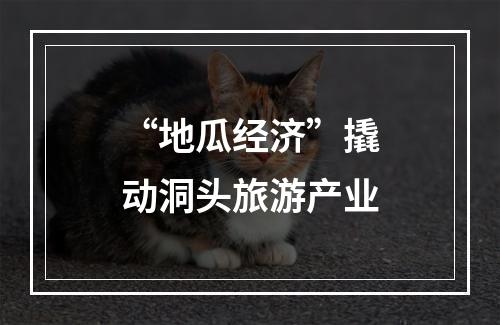 “地瓜经济”撬动洞头旅游产业