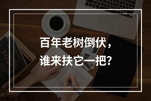 百年老树倒伏，谁来扶它一把？