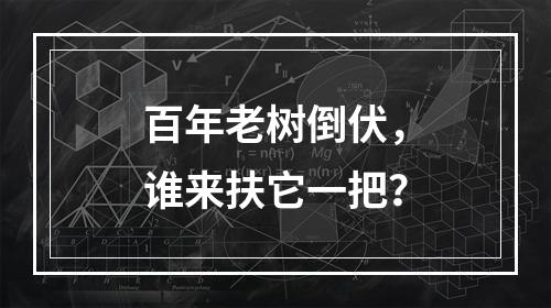 百年老树倒伏，谁来扶它一把？