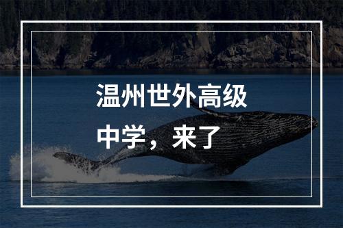 温州世外高级中学，来了