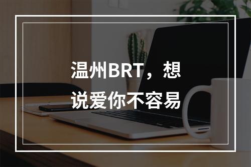 温州BRT，想说爱你不容易