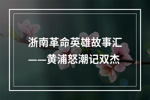 浙南革命英雄故事汇——黄浦怒潮记双杰