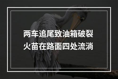 两车追尾致油箱破裂 火苗在路面四处流淌
