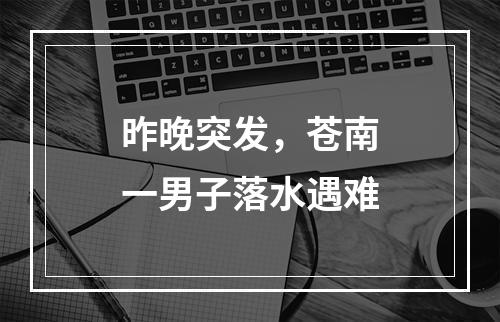 昨晚突发，苍南一男子落水遇难