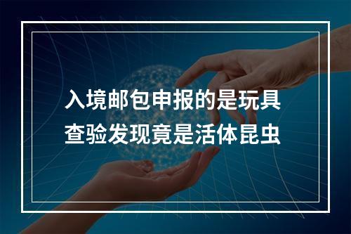 入境邮包申报的是玩具 查验发现竟是活体昆虫