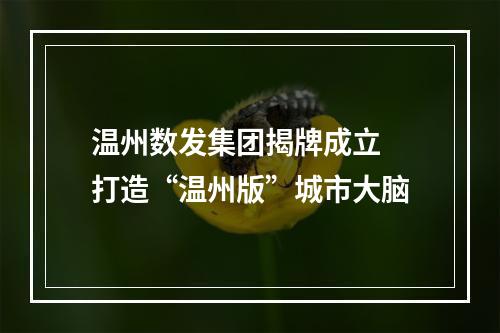温州数发集团揭牌成立 打造“温州版”城市大脑