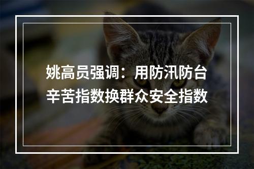 姚高员强调：用防汛防台辛苦指数换群众安全指数