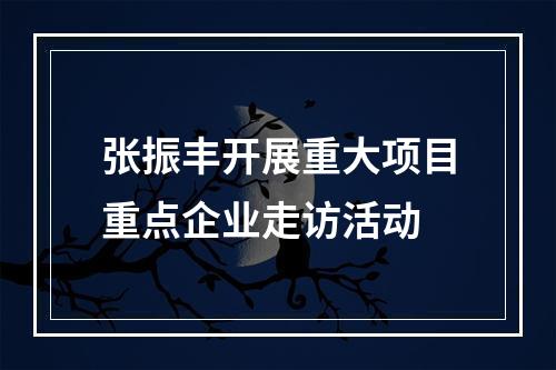 张振丰开展重大项目重点企业走访活动