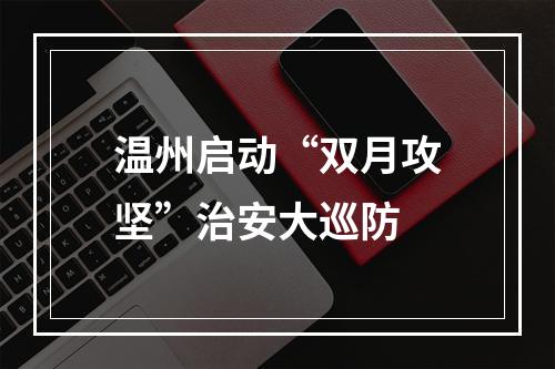 温州启动“双月攻坚”治安大巡防