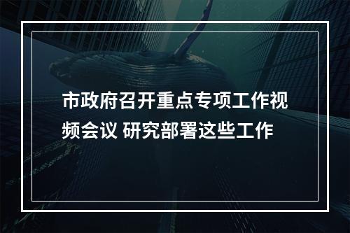 市政府召开重点专项工作视频会议 研究部署这些工作