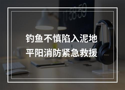 钓鱼不慎陷入泥地 平阳消防紧急救援
