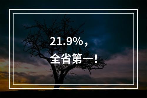 21.9%，全省第一！