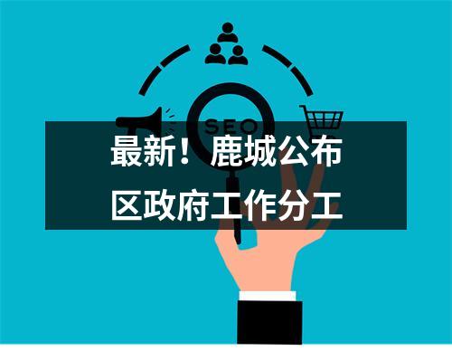 最新！鹿城公布区政府工作分工