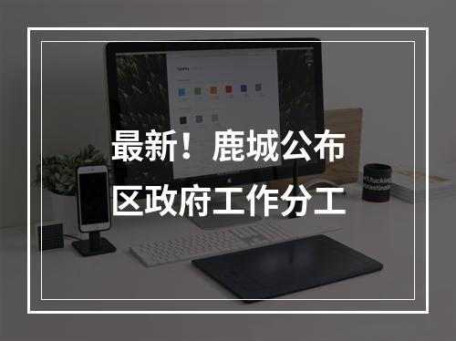 最新！鹿城公布区政府工作分工