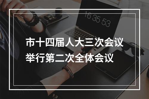 市十四届人大三次会议举行第二次全体会议