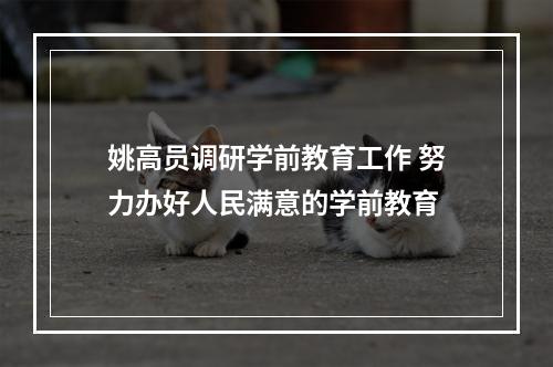 姚高员调研学前教育工作 努力办好人民满意的学前教育
