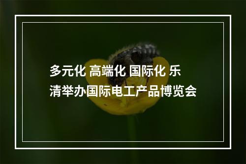 多元化 高端化 国际化 乐清举办国际电工产品博览会