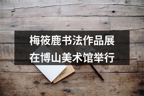梅筱鹿书法作品展在博山美术馆举行