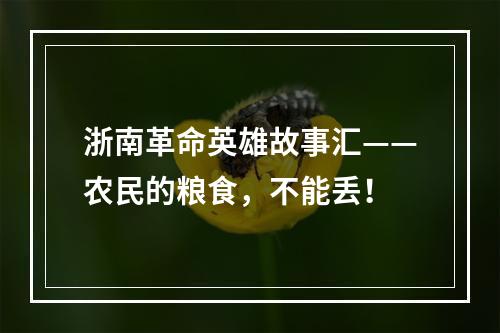 浙南革命英雄故事汇——农民的粮食，不能丢！