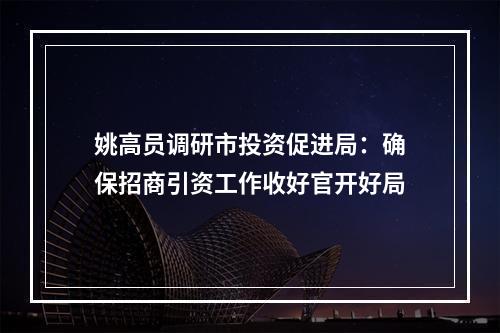 姚高员调研市投资促进局：确保招商引资工作收好官开好局