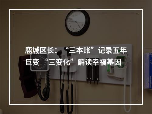 鹿城区长：“三本账”记录五年巨变 “三变化”解读幸福基因