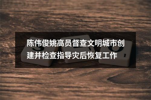 陈伟俊姚高员督查文明城市创建并检查指导灾后恢复工作