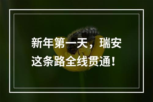 新年第一天，瑞安这条路全线贯通！