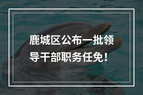鹿城区公布一批领导干部职务任免！