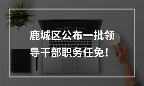 鹿城区公布一批领导干部职务任免！
