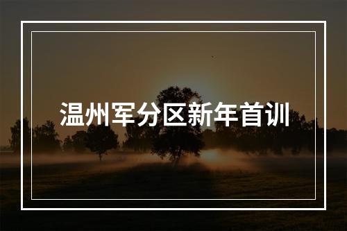 温州军分区新年首训
