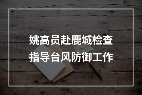 姚高员赴鹿城检查指导台风防御工作