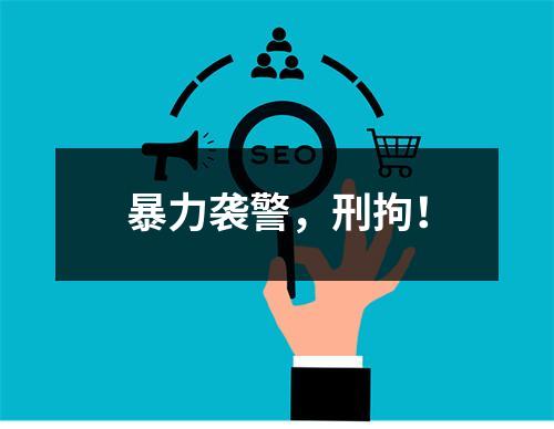 暴力袭警，刑拘！