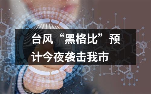 台风“黑格比”预计今夜袭击我市