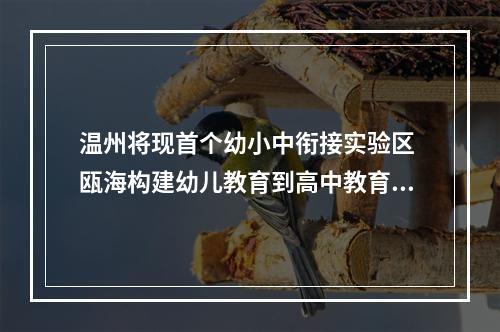 温州将现首个幼小中衔接实验区 瓯海构建幼儿教育到高中教育“无缝供应链”