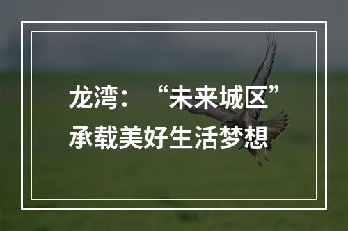 龙湾：“未来城区”承载美好生活梦想
