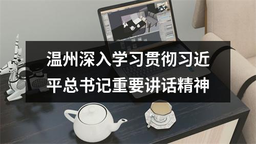 温州深入学习贯彻习近平总书记重要讲话精神