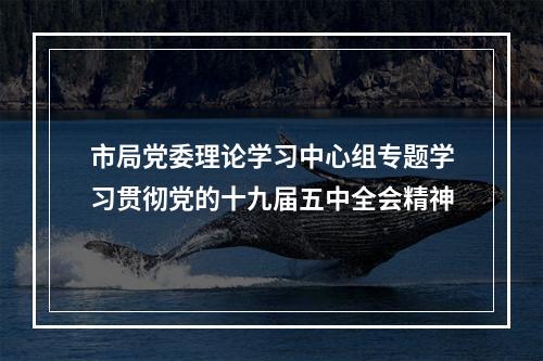 市局党委理论学习中心组专题学习贯彻党的十九届五中全会精神
