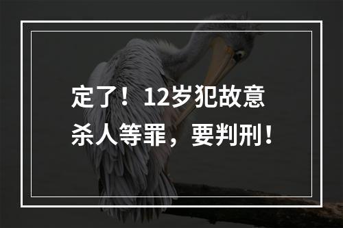 定了！12岁犯故意杀人等罪，要判刑！