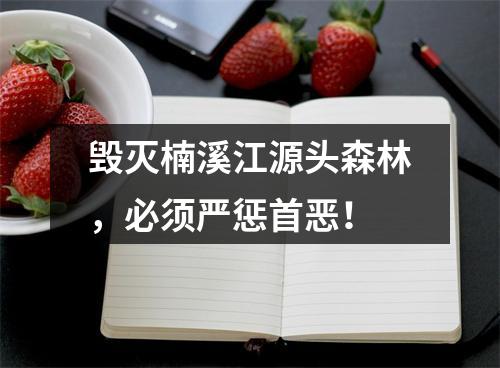 毁灭楠溪江源头森林，必须严惩首恶！