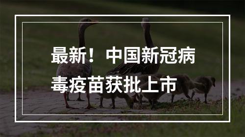 最新！中国新冠病毒疫苗获批上市