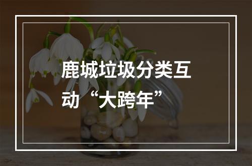 鹿城垃圾分类互动“大跨年”